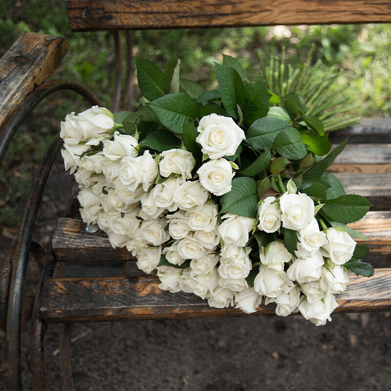 Kate Gale - Funeral Celebrant Kate Gale - Funeral Celebrant